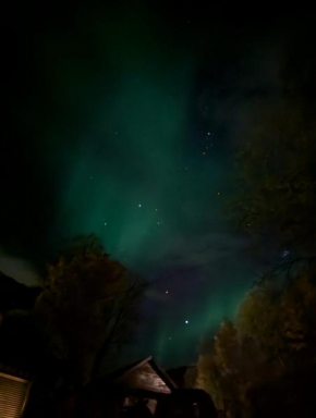 Senja - sjarmerende eldre hytte med havutsikt og terasse